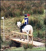 What is TREC? - Horse & Hound