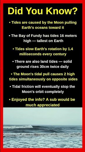 Mind-Blowing Facts About Tides Nobody Tells You 🌊🌕