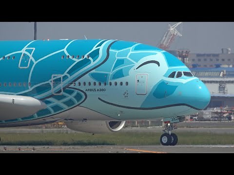 ANA A380 "FLYING HONU" 2号機 [JA382A] Departure/Arrival at Narita Airport / 成田空港