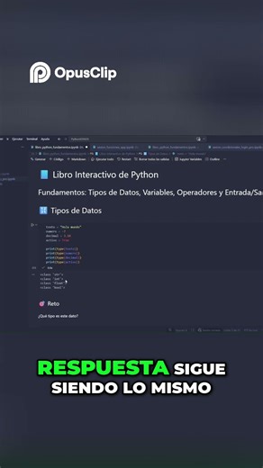 Tipos de datos python #programming #technology #programacion #python #variables