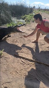 Gator chases for food! Feeding Rescue Alligators at Colorado Gator Farm! | Wild Charles