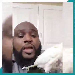 395K views · 1K reactions | Video of Simon the cockatoo showing off his dance moves as his vet beatboxes goes viral | TRT World | Facebook