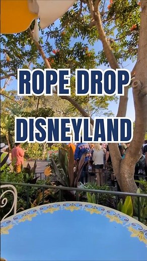 ✨Disneyland Rope Drop Tips You NEED to Know!✨