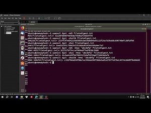 Hướng dẫn làm Labtainer - Onewayhash