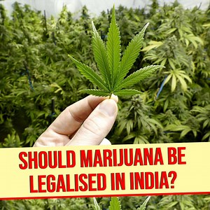 81K views · 1K reactions | Did you know? Delhi is the third largest consumer of weed in the world after New York and Karachi. So can marijuana have more benefits than just getting you 'high'? Apparently, yes. A lot of countries around the world have now recognised the medicinal uses of marijuana and even legalised its recreational use. So should India legalise it as well? This is what we're talking about in this episode of Think Aloud. | Indiatimes | Facebook