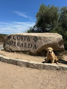 Sono arrivato a Porto Cervo in Costa Smeralda! E sono andato a pranzare con Gastone, guardate lo scontrino, non crederete ai vostri occhi. | La tua guida a Los Angeles di Marco Squintu
