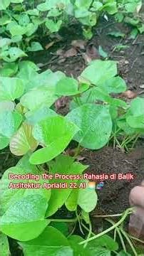 Decoding The Process: Rahasia di Balik Arsitektur Aprialdi 22 AI 🌅🧬2