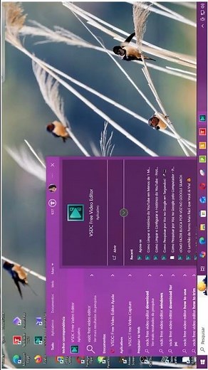 Como Encontrar Programas e Arquivos no Windows em Segundos!