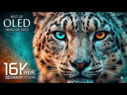 4k hdr 120fps | ULTRA Black OLED Demo HDR 8K Ultra HD Dolby Vision™ 60fps