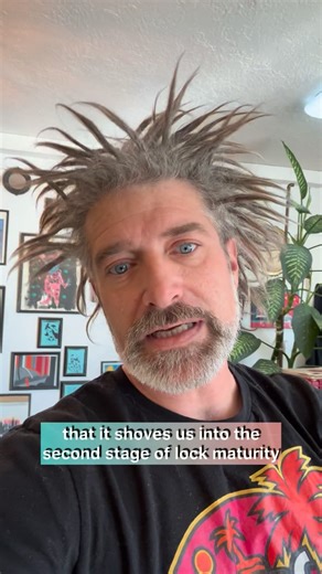 Cheyne Fell on Instagram: "Proof is in the pudding - beanie or loc sponge, It’s all friction and wet setting that speeds up the process. For all the times I get asked “if it works?” Or “how do I do that with ________(insert hair type) And even, “What of I have longer hair?” It’s the same concept of “jump starting” the loc’ing process with friction and wet sets. Long hair? Back comb and vigorous palm rolling, wet set, dry , (Pete and repeat) Shorter hair can use circular motion with beanie or loc