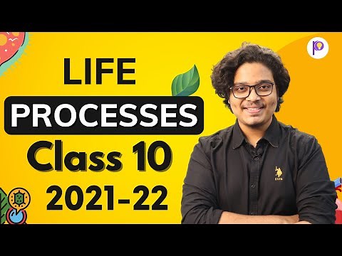Life Processes Class 10 2021-22 | Class 10 Biology | Nutrition & Digestion