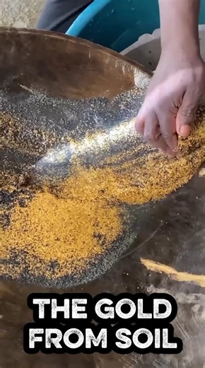 extraction gold from soil result, prospecting aluvial gold #mining #gold