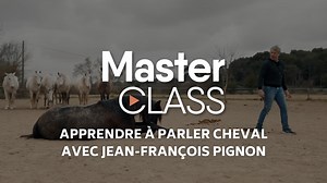 [MASTERCLASS] Apprendre à parler cheval avec Jean-François Pignon