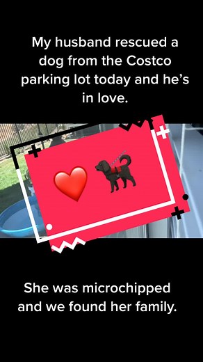 I love this man. #rescuedog #rescue #found