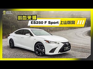 【趴趴走】Lexus ES 250 F Sport 云顶上山 xD