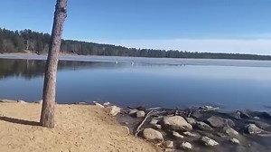 Ease into your day with this moment of nature from the Mississippi River headwaters in Itasca State Park. Check out the live stream of the iconic headwaters at mndnr.gov/headwaters. 🎥: Aaron Eisenberg | Minnesota State Parks and Trails