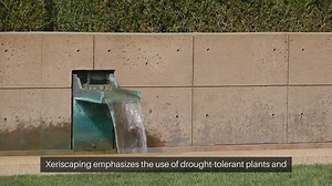 How To Create A Xeriscape Garden