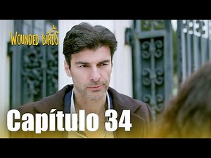 Omer Sueños Robados | Capítulo 34