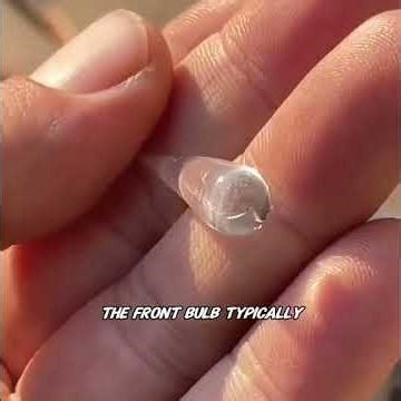 Why is Prince Rupert’s Drop so hard