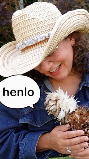 The story of my one-legged chicken. PART ONE #chickenlandia #backyardchickens #raisingchickens