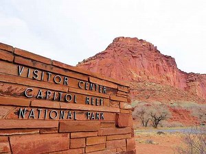 キャピトルリーフ国立公園 観光 グランドサークルの秘境絶景スポットの見どころ - Petite New York
