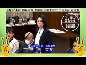 2025.11.20 牛田茉友 臨時国会 参議院 内閣委員会