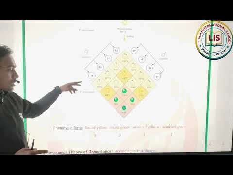 #video REVISION CLASS Class 12 th Biology Principal of inheritance