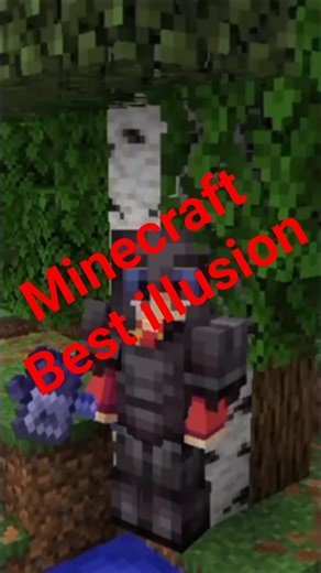 Minecraft Optical Illusion Build 🤯 | Best Minecraft Illusion Trick