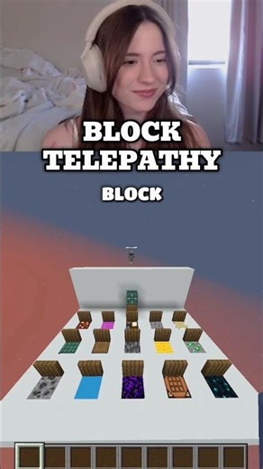 Block telepathy but he’s TOO GOOD #minecraft #minecraftmemes #telepathy