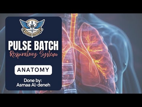 Lecture 3 - Thoracic cage and trachea : Anatomy (RS)