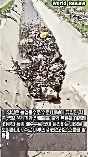 농업용수 오염 방지를 위한 수로 관리 #worker #process #water #farming #environment
