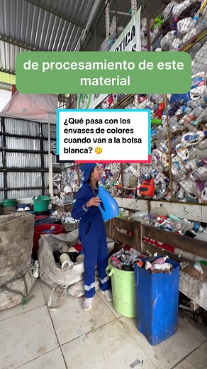 Procesamiento de Envases Plásticos: Paso a Paso con Reciclamores