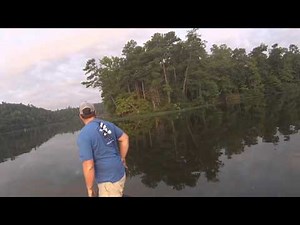 Alabama fishermen redefine 'catfishing' with kitten catch