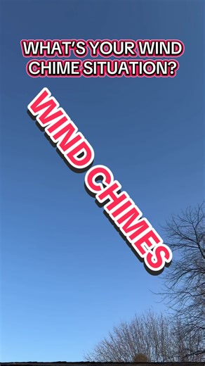 I think they’re well accented by that door 😉 #fyp #doors #construction #homeimprovement #ohio