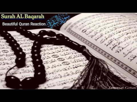 Surah Al-Baqarah (Fast Recitation) Quick Recitation – Mishary Rashid Alafasy (سورة البقرة) Ep275