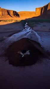 Fennec Foxes Team Up To Save A Stuck Horse From Mudslide! #rescue #animals #wildlife | Team Stories