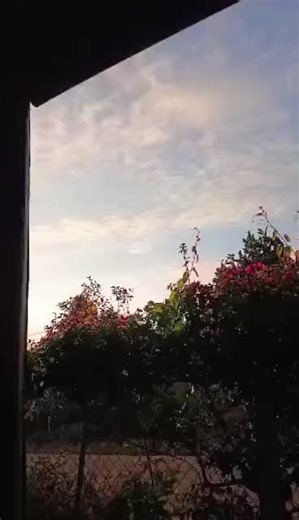 Discover the Best of TikTok Awards 2023