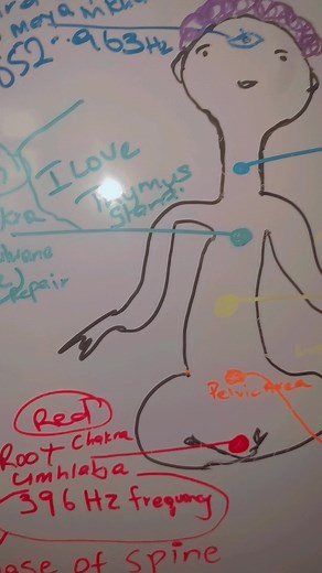 #ukuthwasa #chakras #southafricantiktok🇿🇦 #amakhambiesintu #8april #july24#fypviral #fypviral #healing_through_nature #healthremedies #cwekcantik #SAMA28