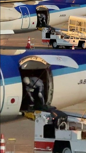 手荷物搭載！ANA WINGS Bombardier DHC-8-402Q Dash 8 大阪国際（伊丹）空港 #Shorts