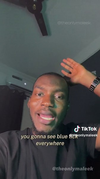 Understanding the Blue Tick Verification on TikTok