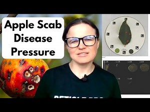 Apple Scab in Apples: AI Detection, Early Monitoring & Smart Agriculture Solutions Explained