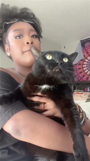 Funniest cats of 2025😂😂