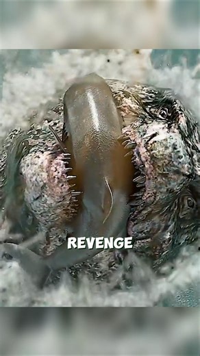 when megaldon swallowed Godzilla’s son #godzilla