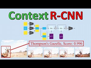 Context R-CNN: Long Term Temporal Context for Per-Camera Object Detection (Paper Explained)
