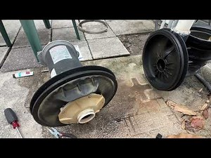 How to dismantle and remove Seals on a Sta Rite Dura Glas Pool Pump