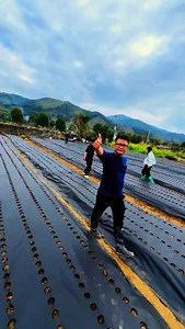 8.4K views · 6K reactions | Cool tool  . . #amazingproduct #bakingideas #gardeningtools #powertools #bartools #amazingvoice #haircolorideas #giftidea #gadgets #antiquetools #gadgetsecond #decorationideas #amazingproducts #amazongadgets #amazingtrips #breakfastideas #designtools #ecofarming #outfitidea #kidspartyideas #amazingplaces #workoutideas #intags #gadgetsnews #dinnerideas #amazingmalang #partyideas #amazingview #interiordesignideas #amazingmetapod | Shahid Azmi | Facebook