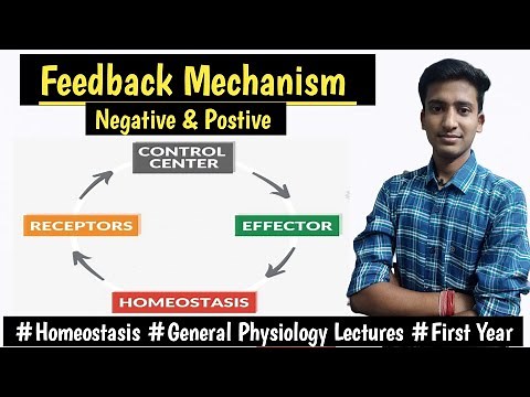 Feedback Mechanism|| Negative & Positive||Homeostasis || General Physiology || Ashish