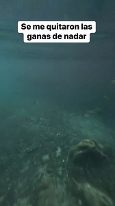 Por que había un cadaver #humor#memes#sigueme#cadaver | videos y memes