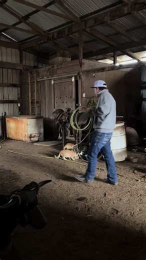 Roping the bones today at the barn showing mobility and coordination after brain injury as well as spinal cord injury! #traumaticbraininjury #tbi #tbisurvivor #tbiawareness #spinalcordinjuryrecovery