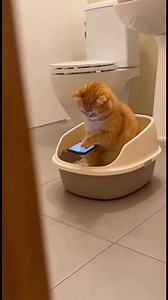 is this normal? 😅 | The Science Guy